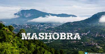 mashobra tour package by tempo traveller